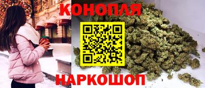 spice Шелехов