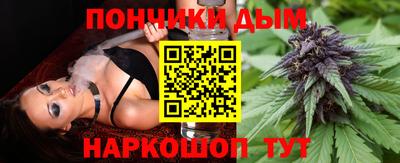 jwh Шебекино