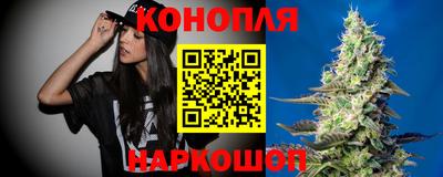 jwh Шебекино